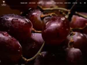 Website rượu vang MONWINES